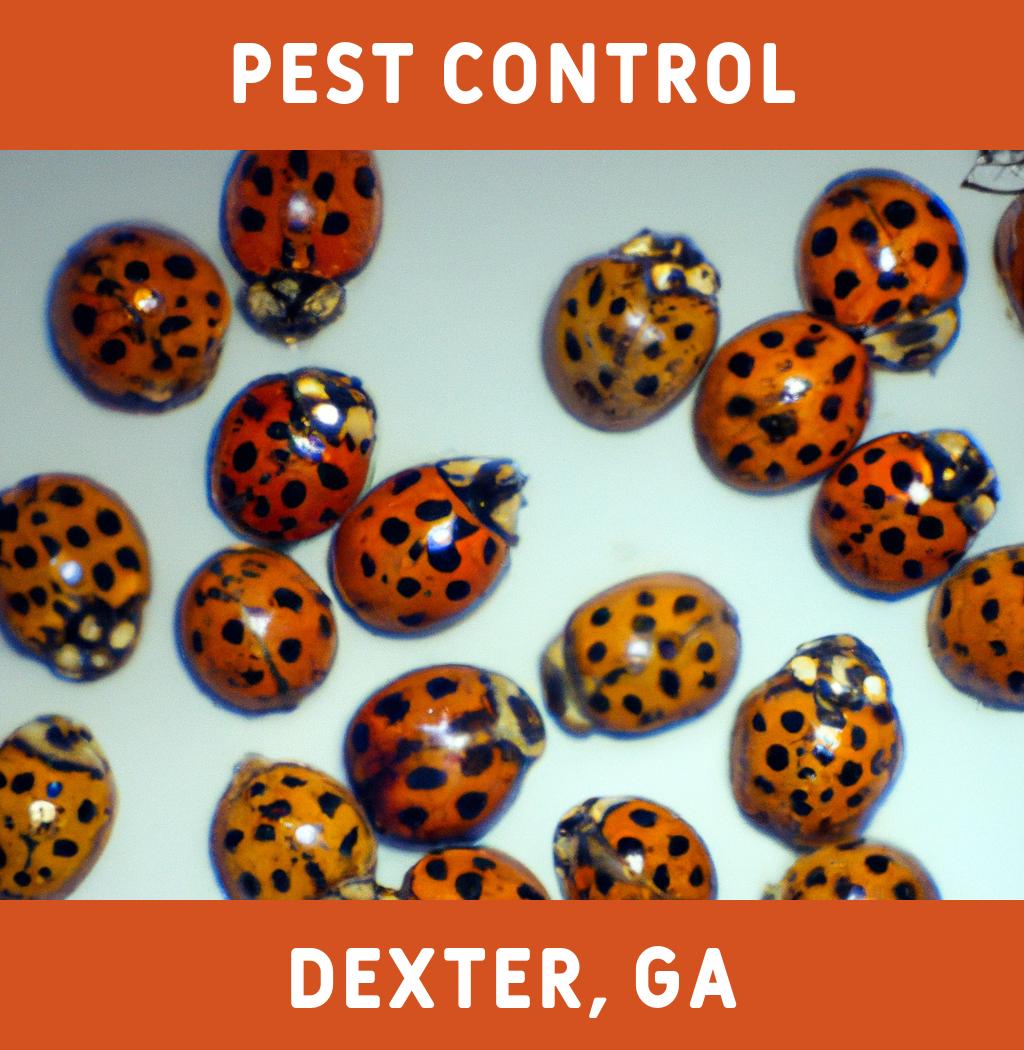 pest control in Dexter Georgia