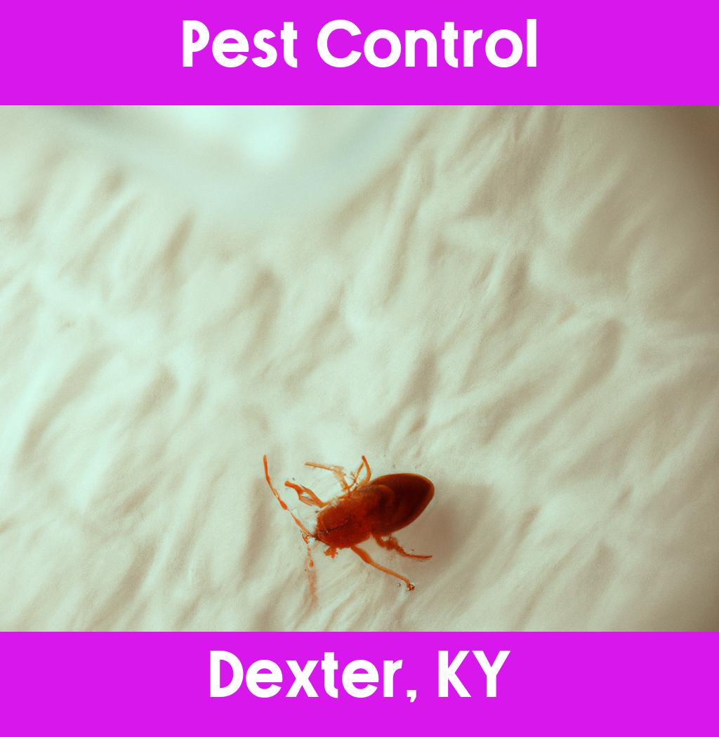 pest control in Dexter Kentucky