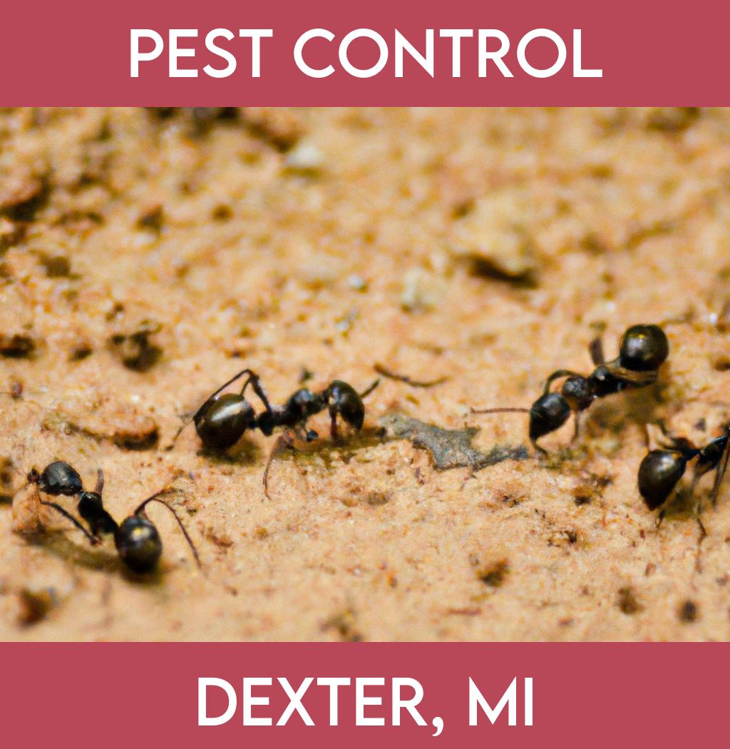 pest control in Dexter Michigan