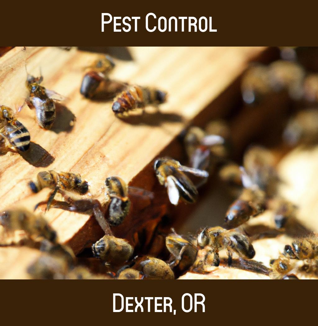 pest control in Dexter Oregon