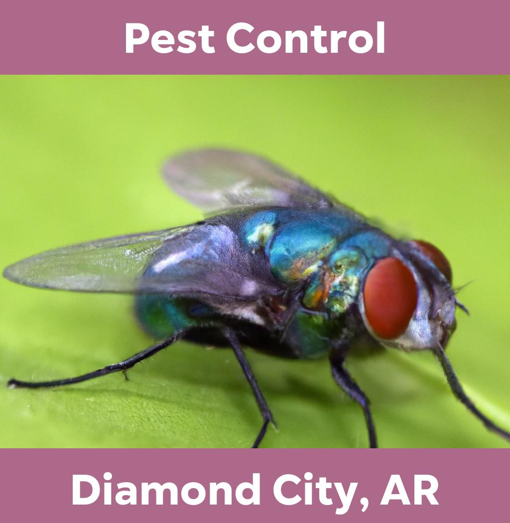 pest control in Diamond City Arkansas