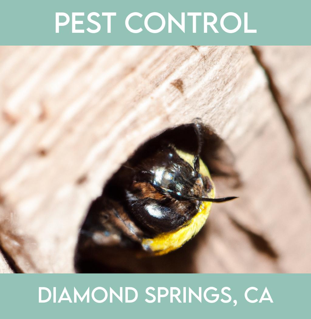 pest control in Diamond Springs California