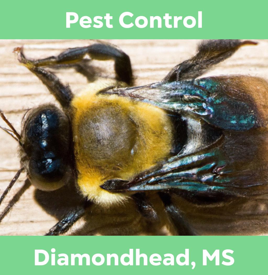 pest control in Diamondhead Mississippi