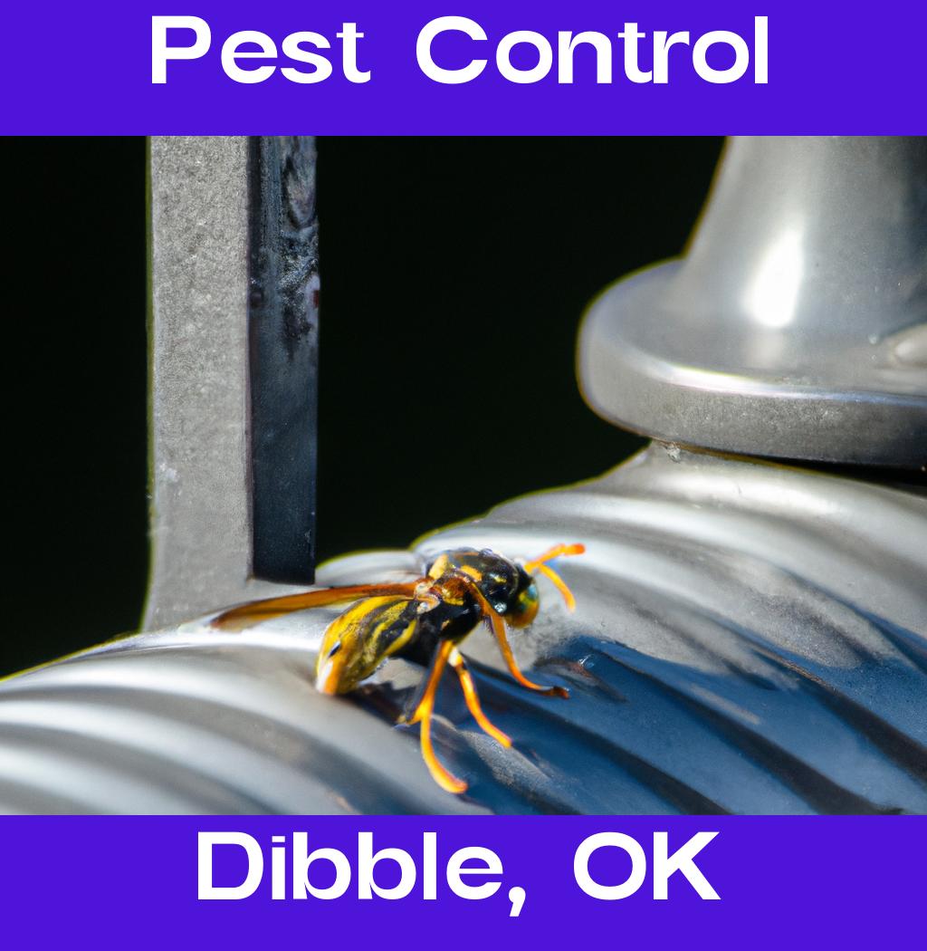 pest control in Dibble Oklahoma
