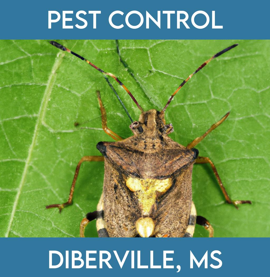 pest control in Diberville Mississippi