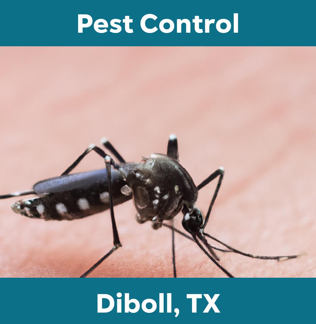 pest control in Diboll Texas