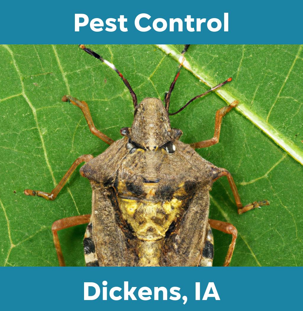 pest control in Dickens Iowa