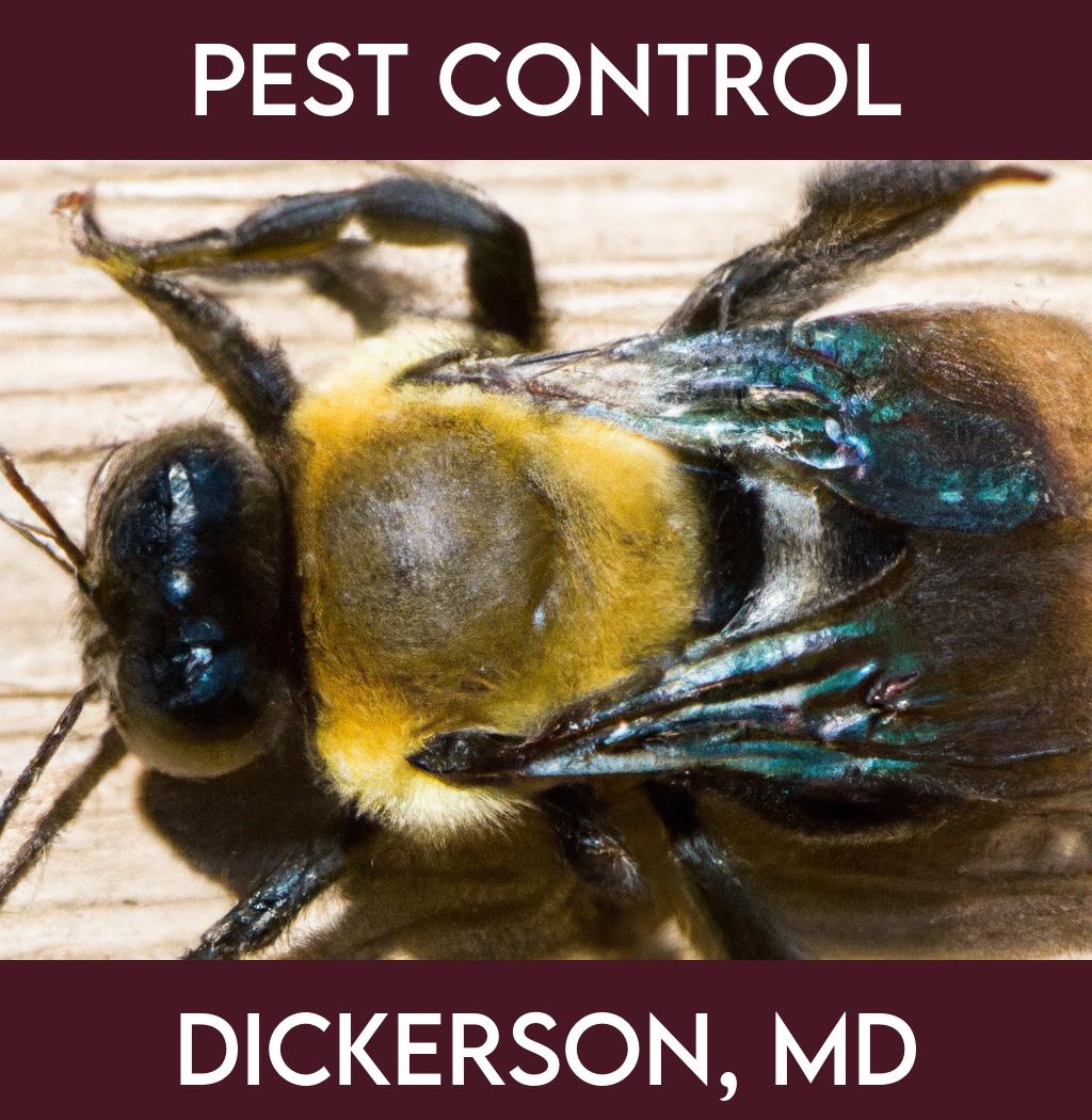 pest control in Dickerson Maryland