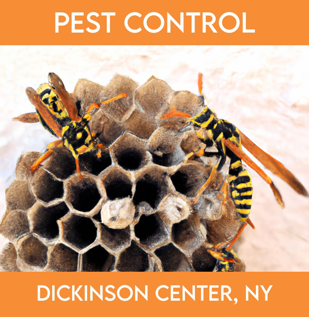 pest control in Dickinson Center New York