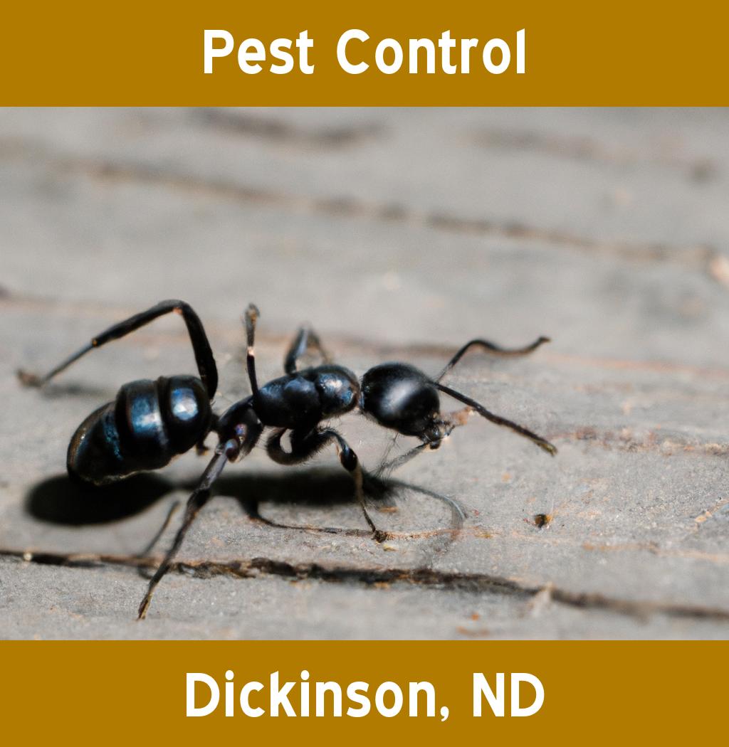 pest control in Dickinson North Dakota