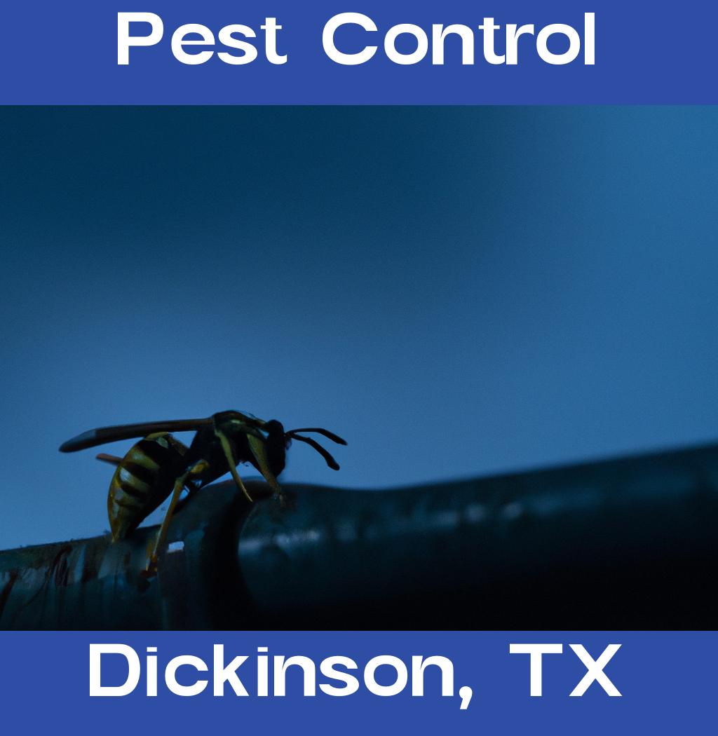 pest control in Dickinson Texas