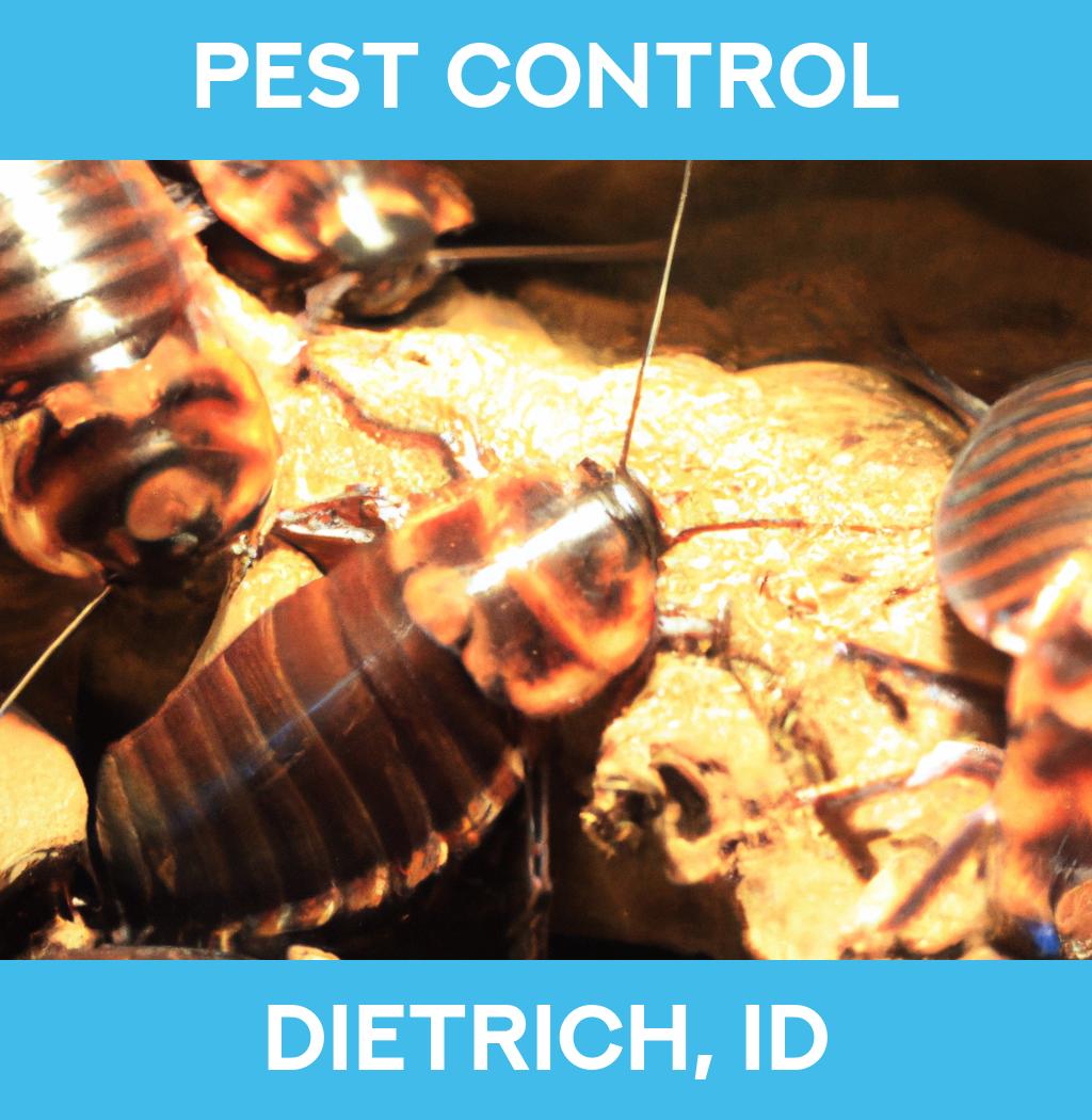 pest control in Dietrich Idaho