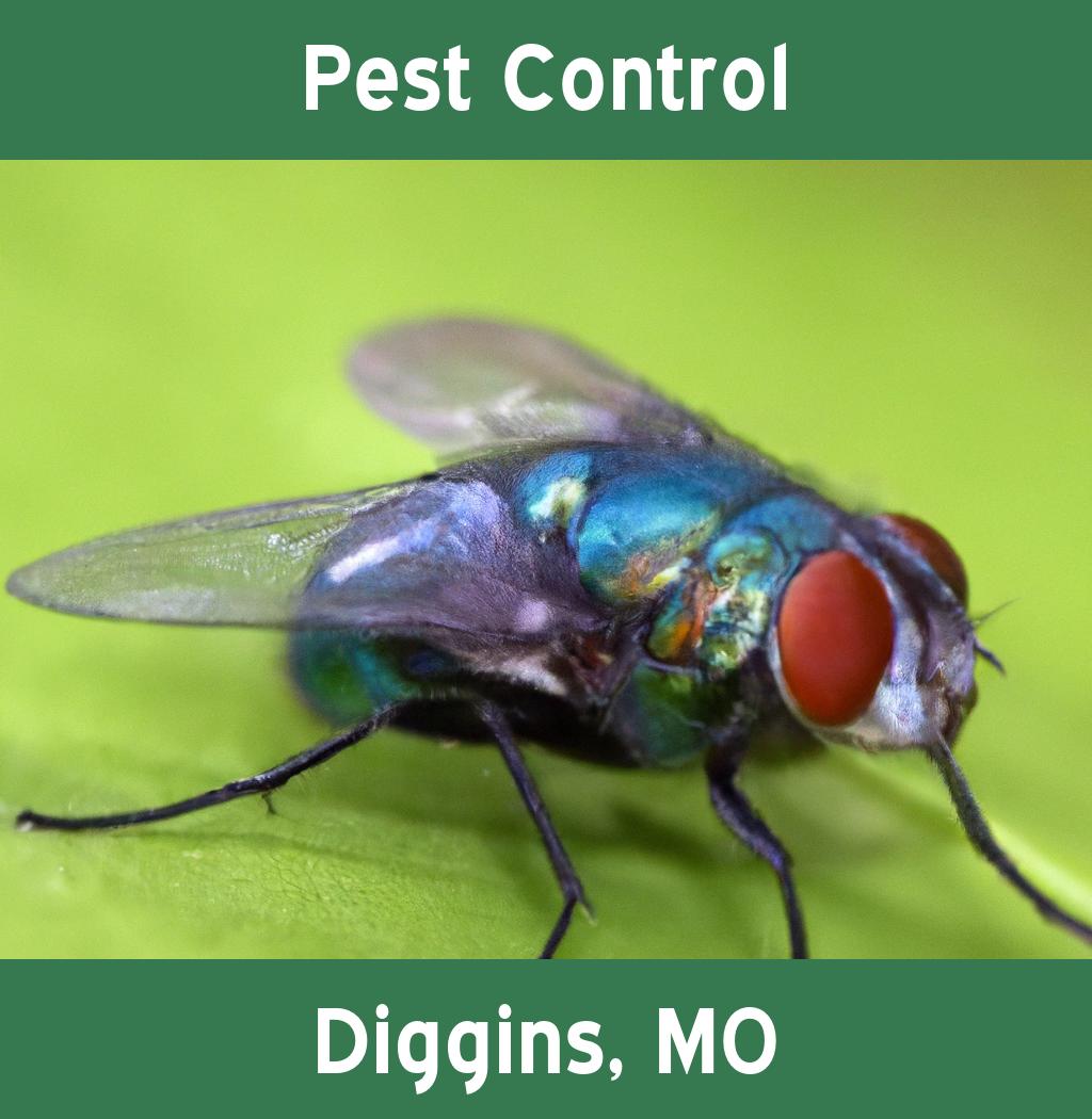 pest control in Diggins Missouri