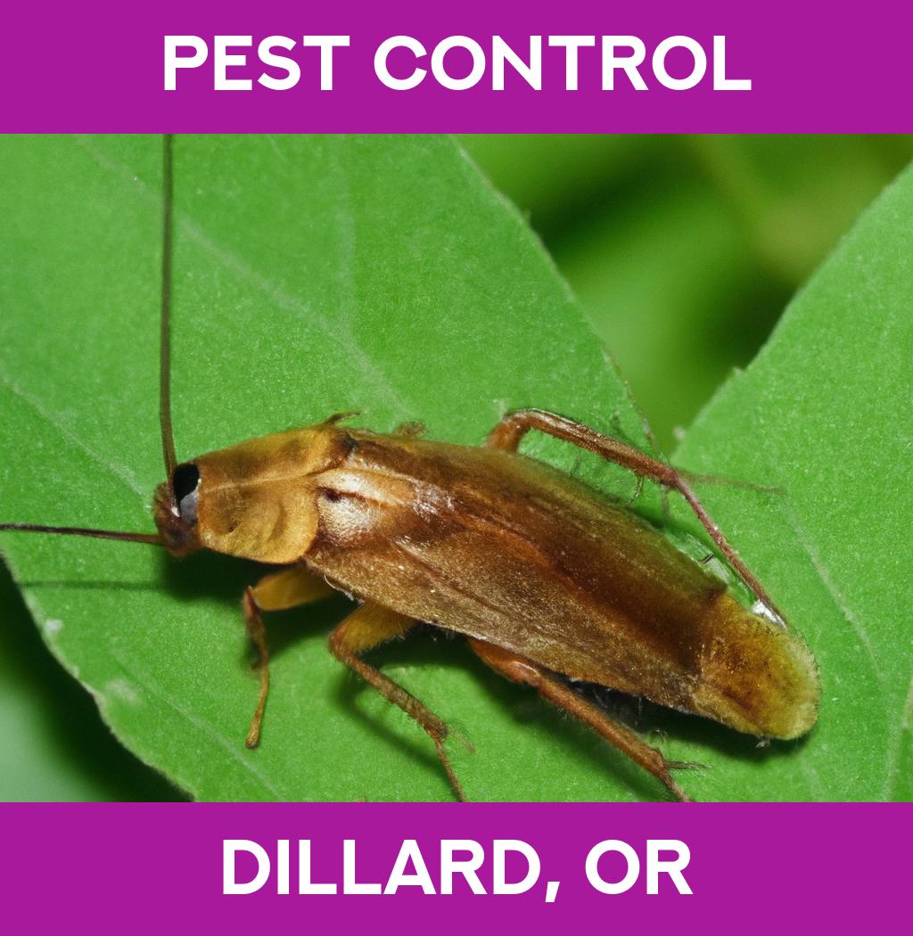 pest control in Dillard Oregon