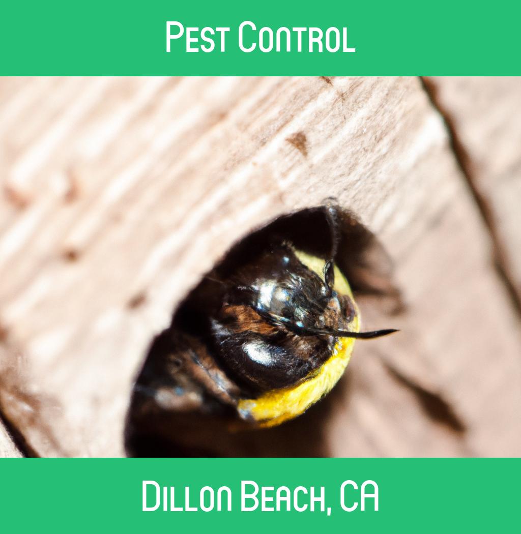 pest control in Dillon Beach California