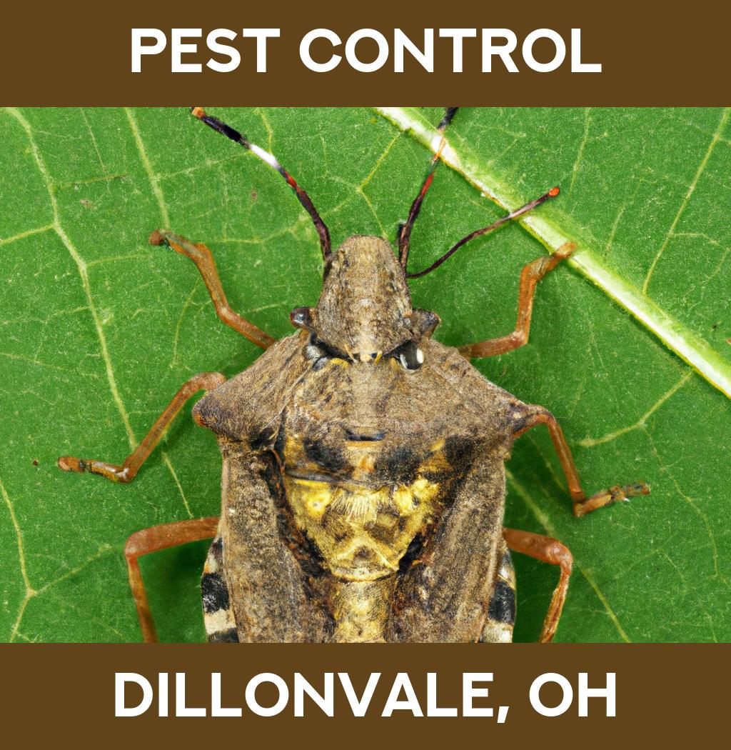 pest control in Dillonvale Ohio