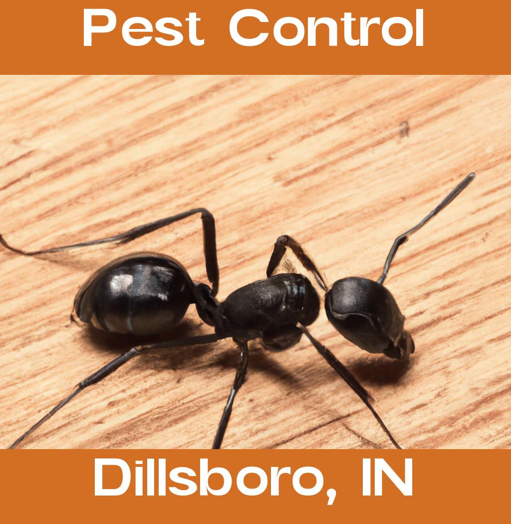pest control in Dillsboro Indiana