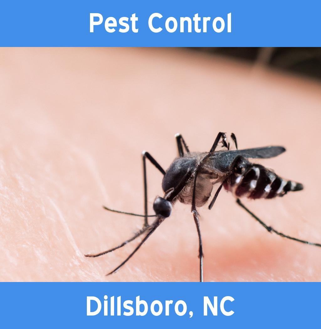 pest control in Dillsboro North Carolina