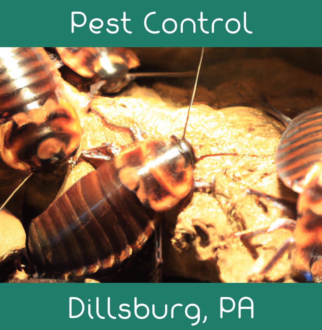 pest control in Dillsburg Pennsylvania