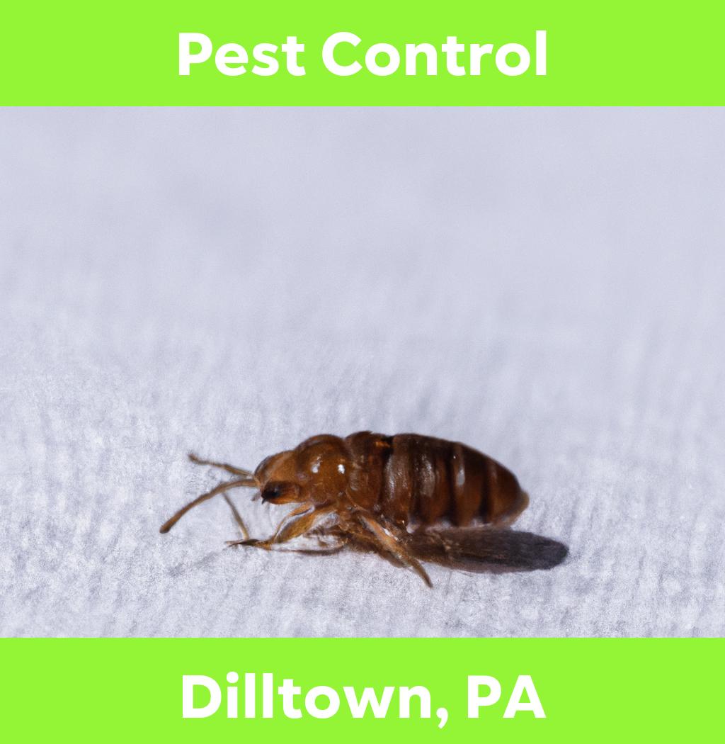 pest control in Dilltown Pennsylvania