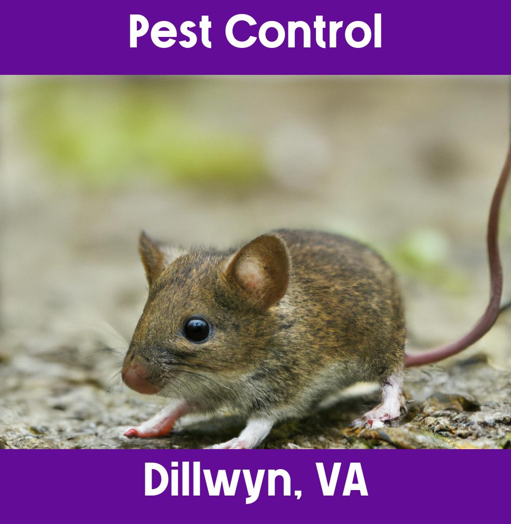 pest control in Dillwyn Virginia