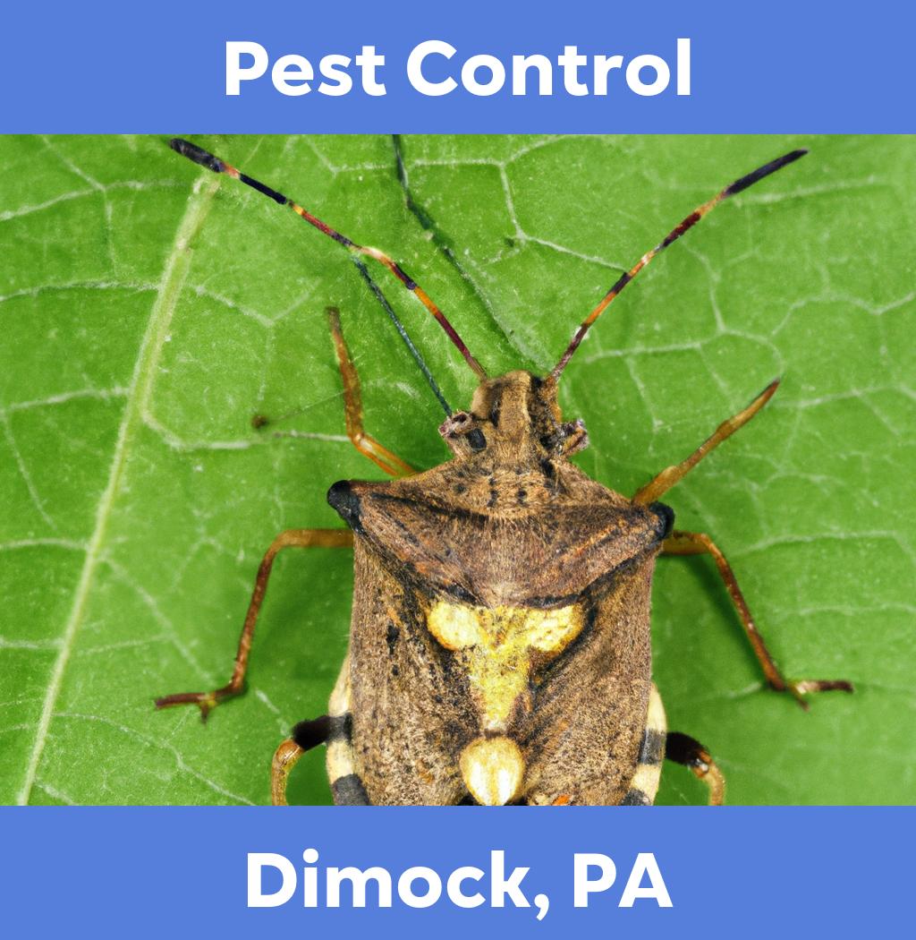 pest control in Dimock Pennsylvania
