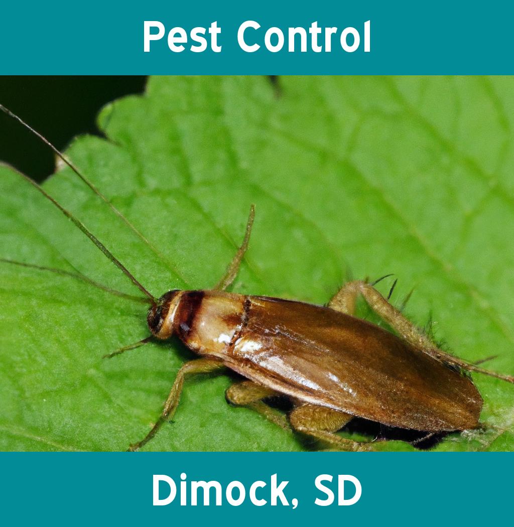 pest control in Dimock South Dakota