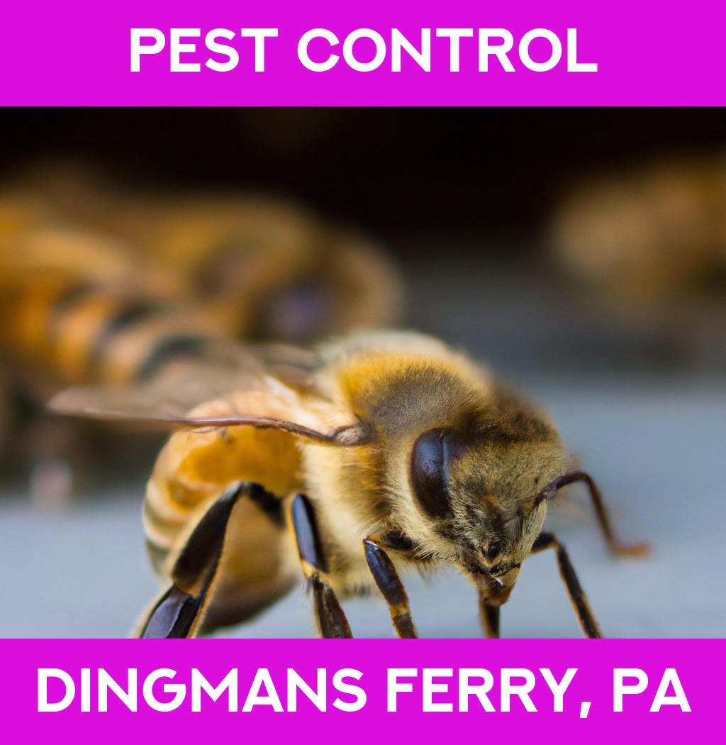 pest control in Dingmans Ferry Pennsylvania