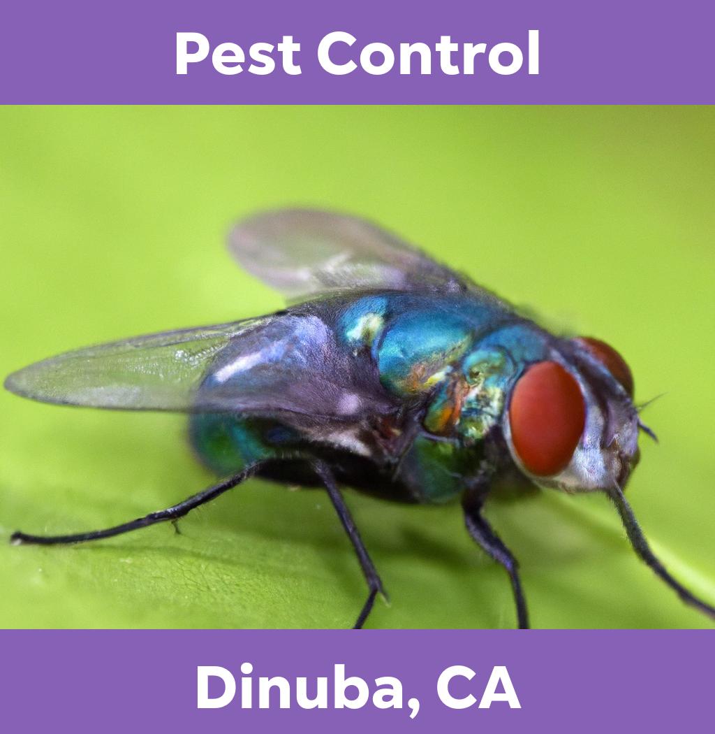 pest control in Dinuba California