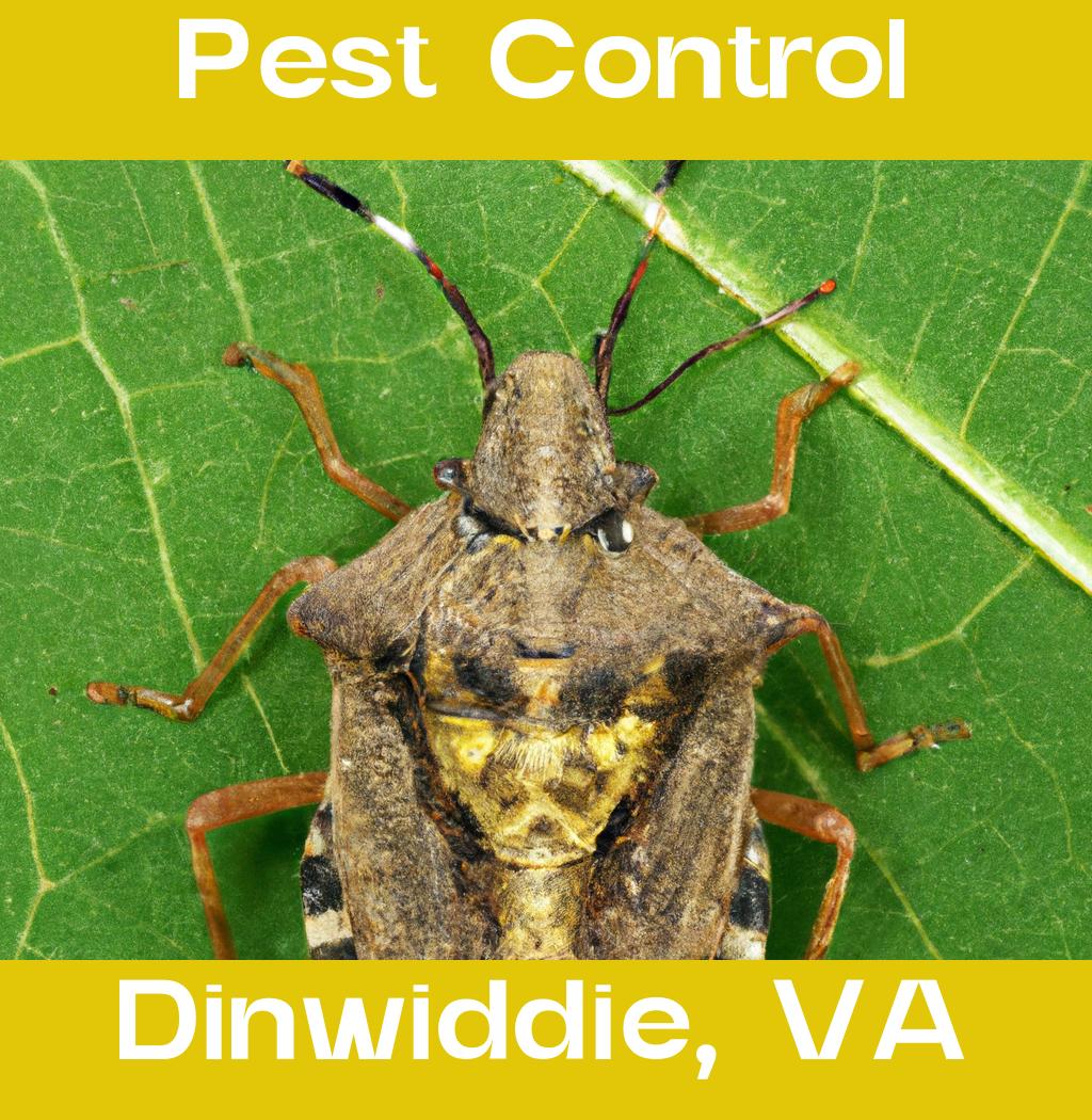pest control in Dinwiddie Virginia