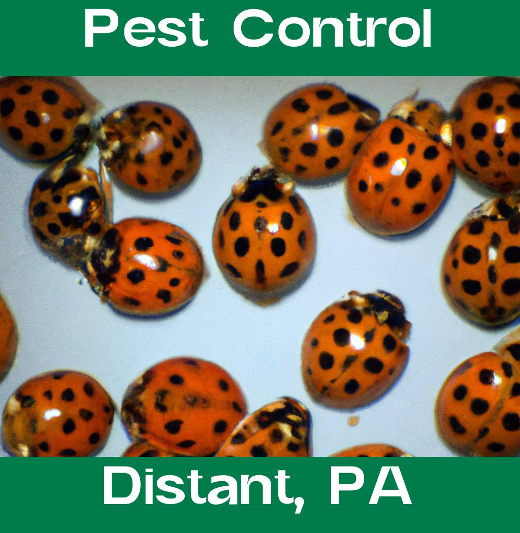 pest control in Distant Pennsylvania