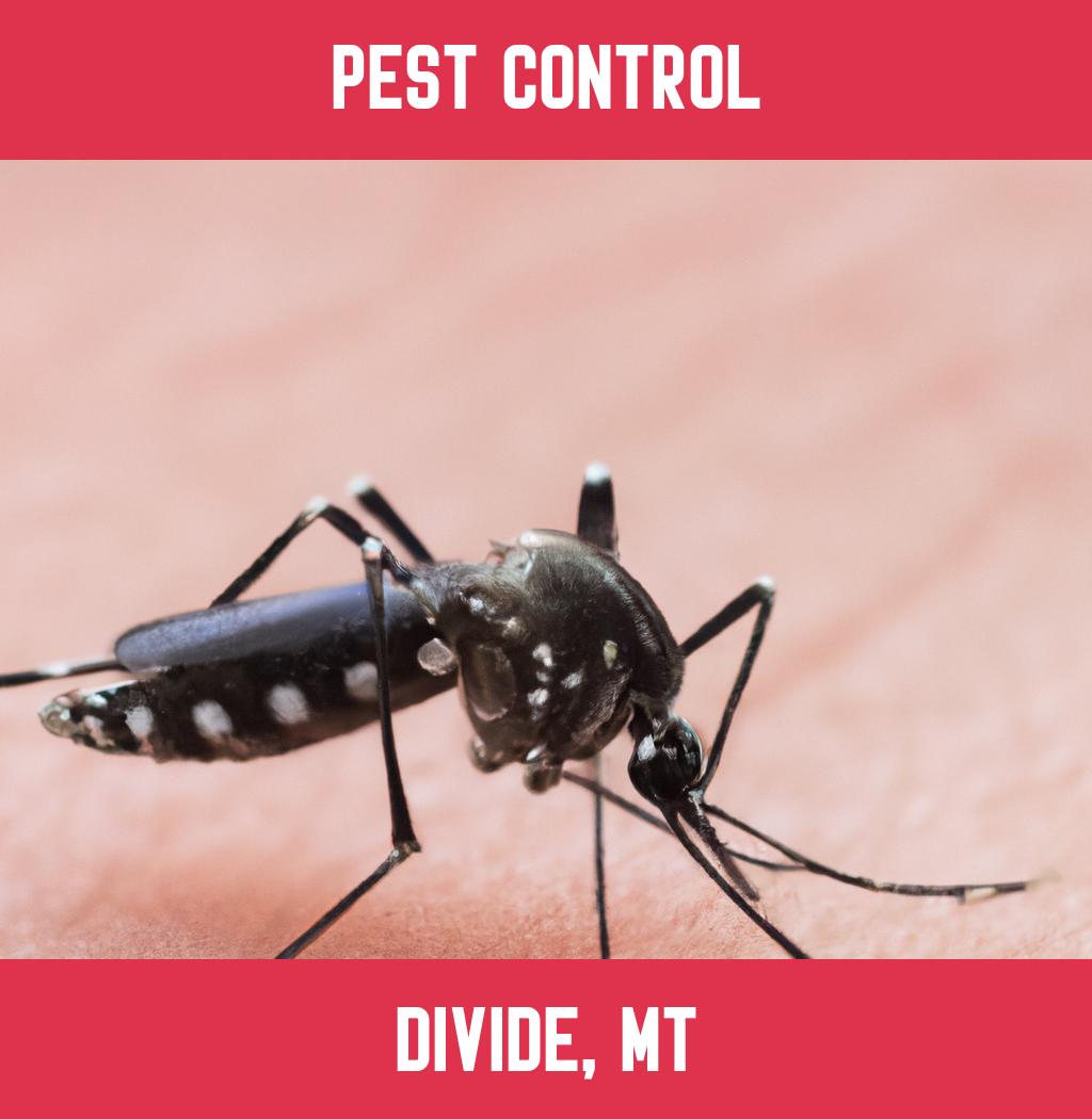 pest control in Divide Montana