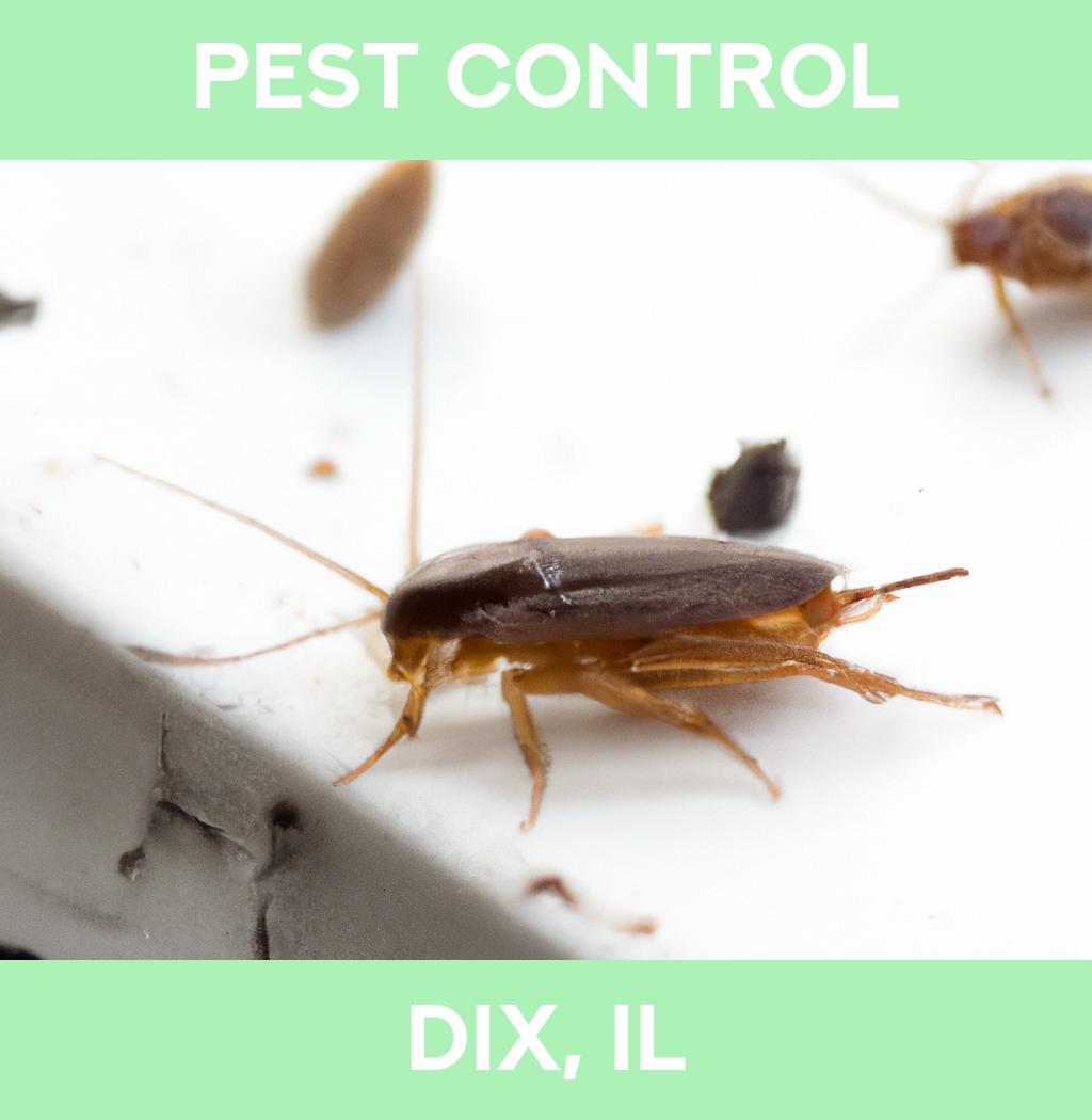 pest control in Dix Illinois