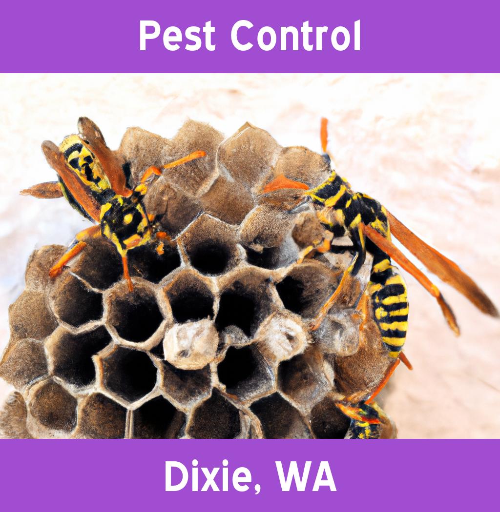 pest control in Dixie Washington