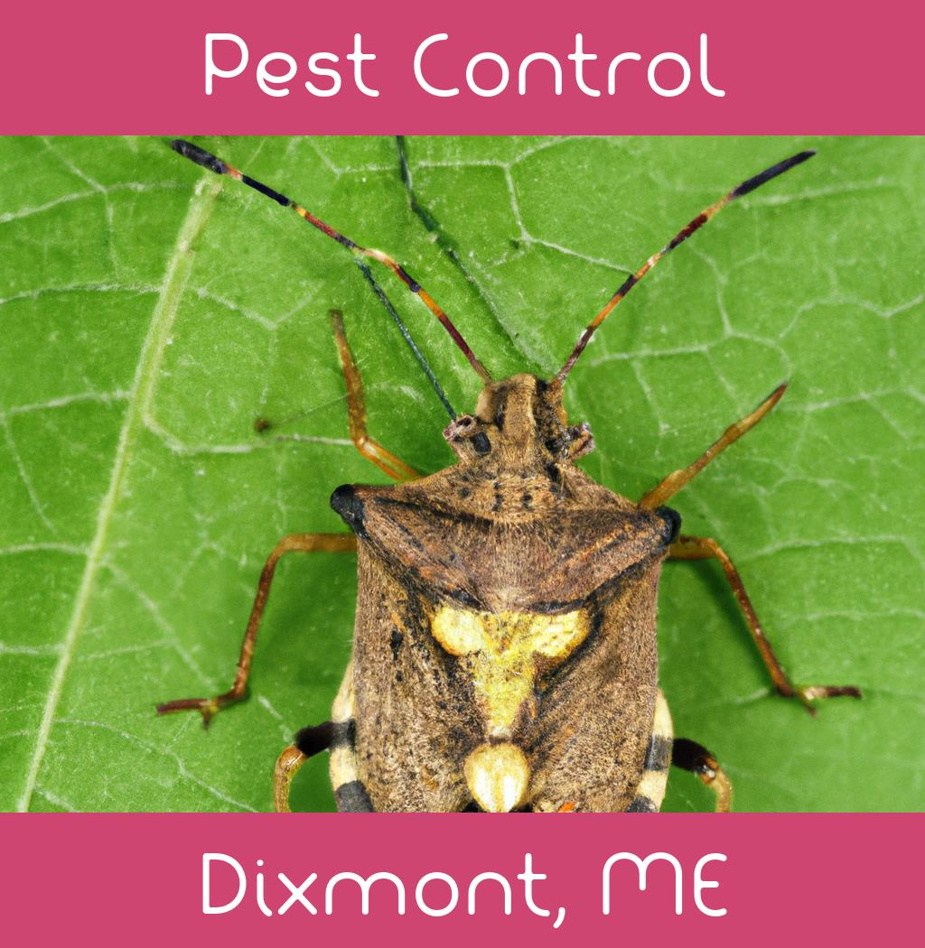 pest control in Dixmont Maine