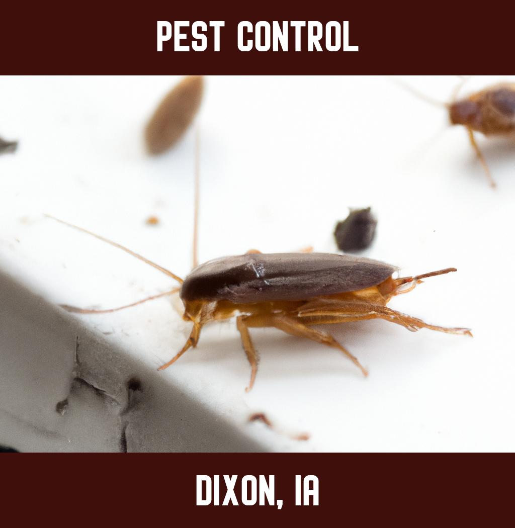 pest control in Dixon Iowa