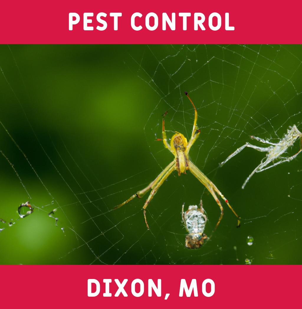 pest control in Dixon Missouri