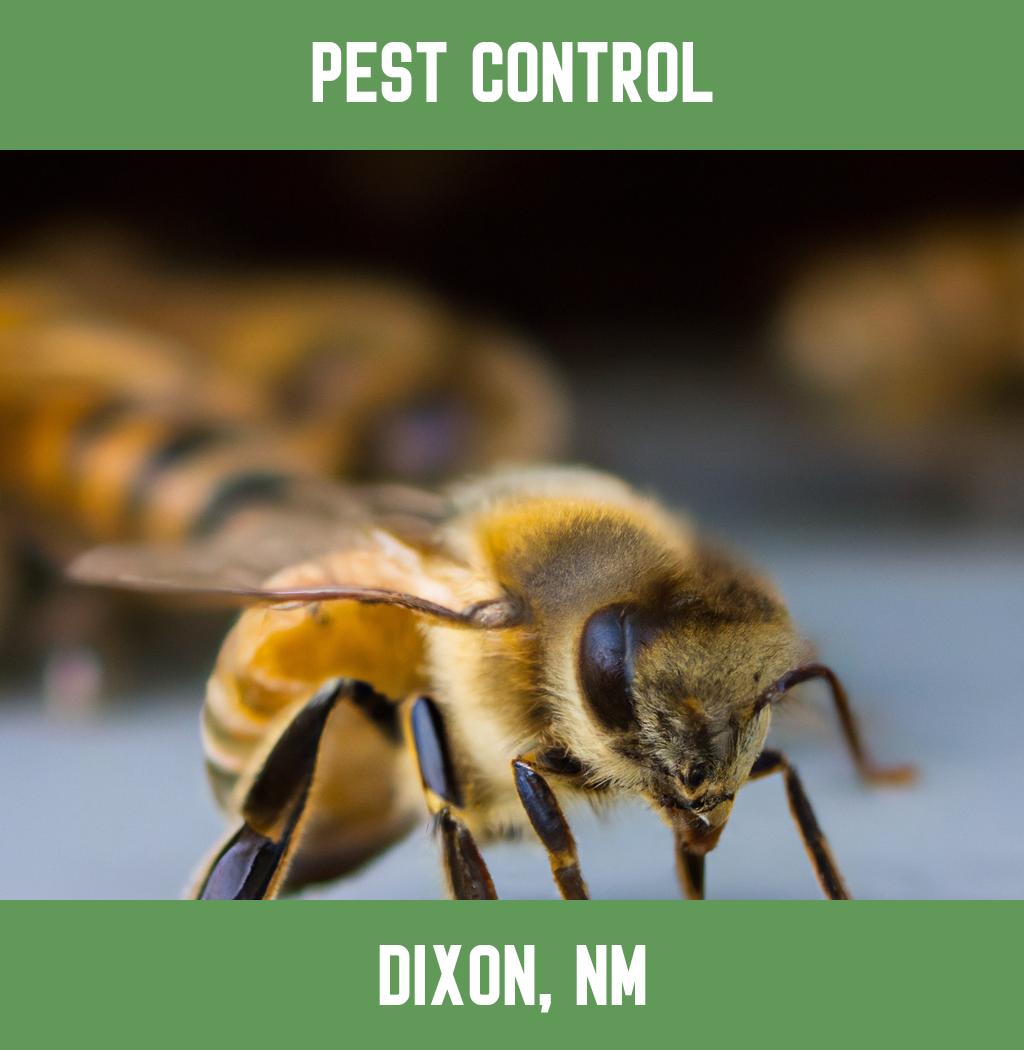 pest control in Dixon New Mexico