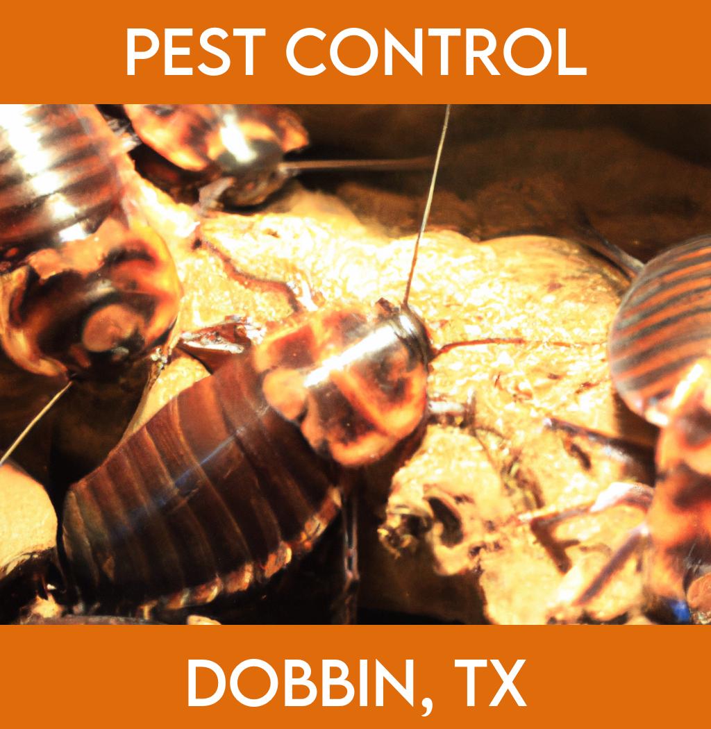 pest control in Dobbin Texas