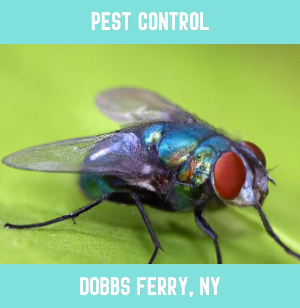 pest control in Dobbs Ferry New York