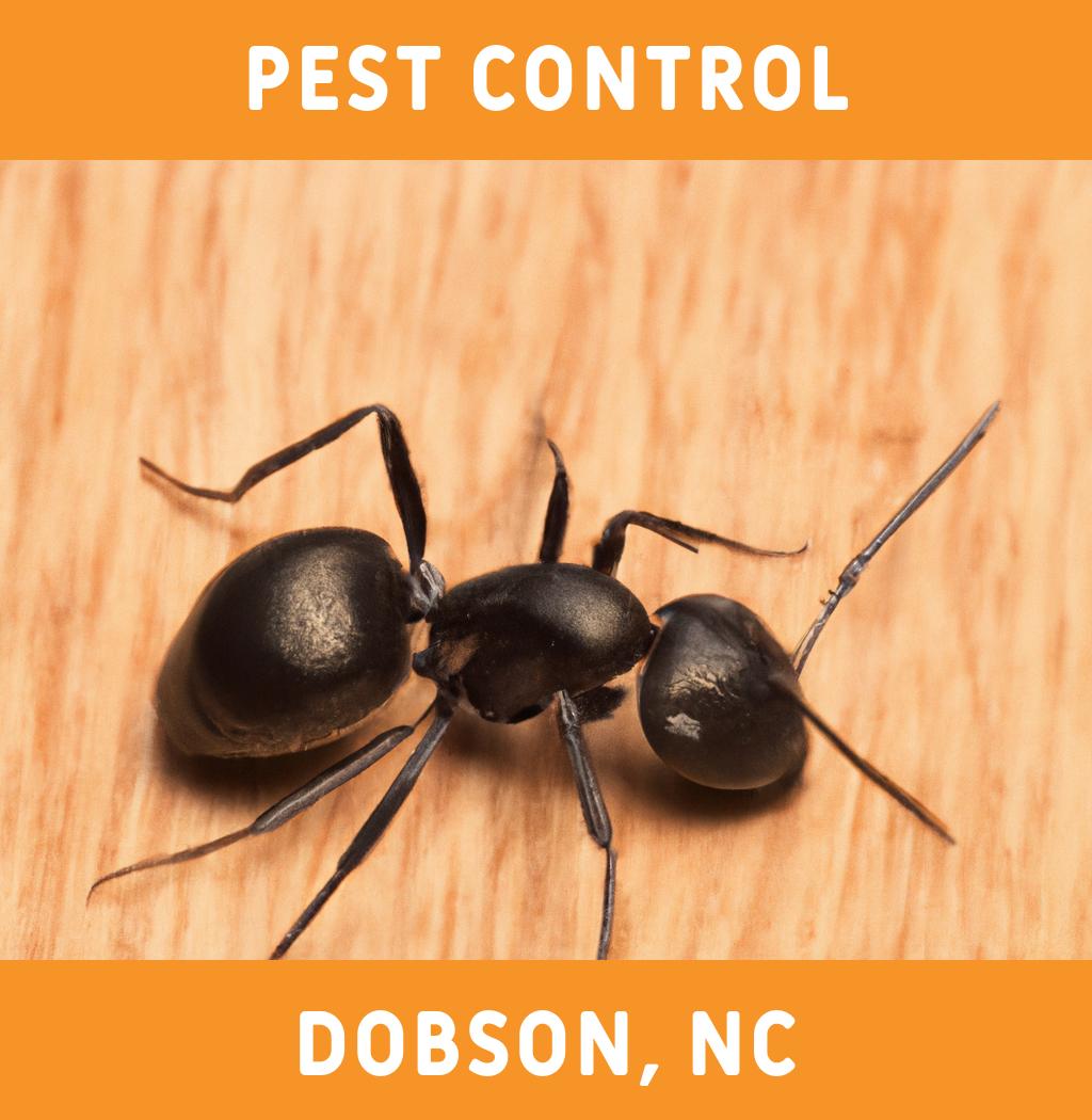 pest control in Dobson North Carolina