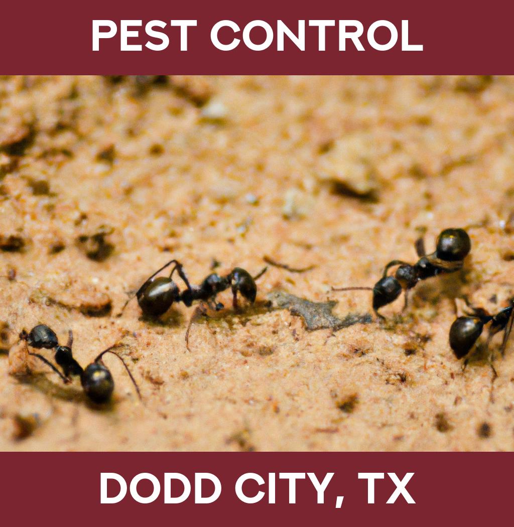 pest control in Dodd City Texas