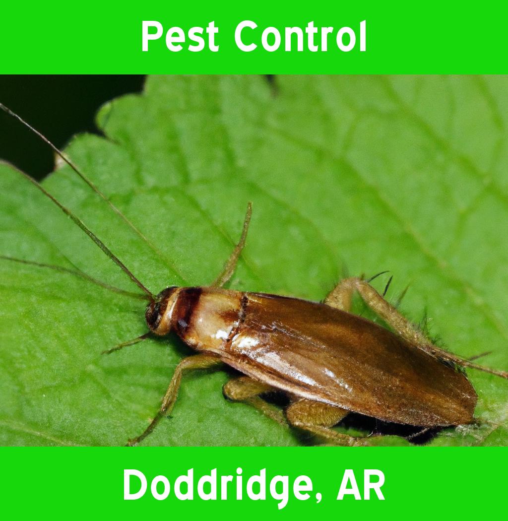 pest control in Doddridge Arkansas