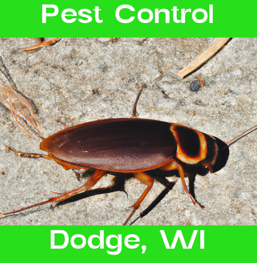 pest control in Dodge Wisconsin