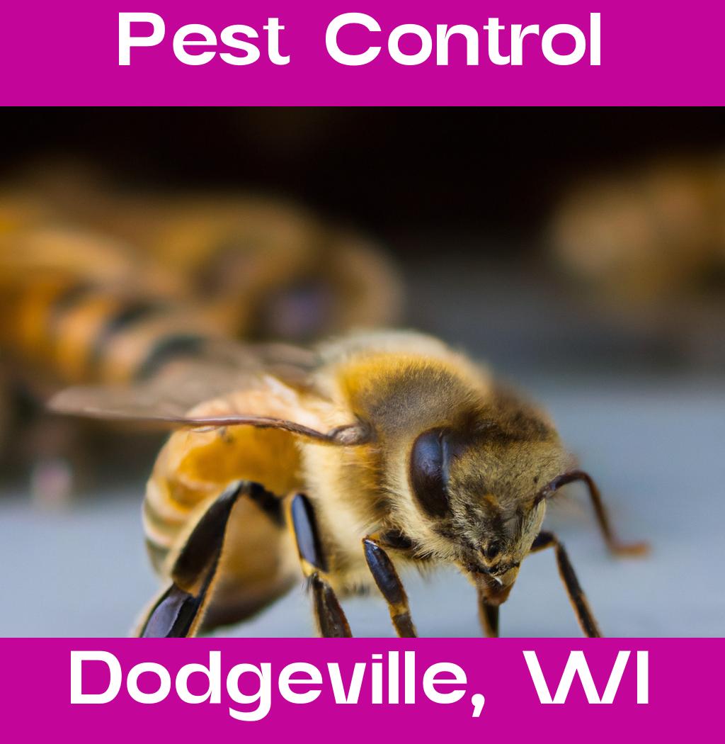 pest control in Dodgeville Wisconsin