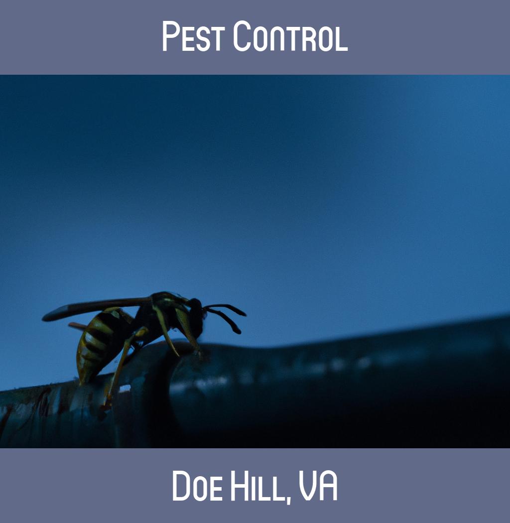 pest control in Doe Hill Virginia