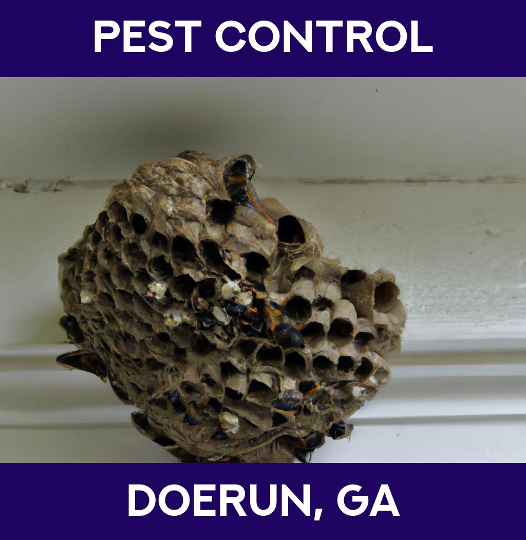 pest control in Doerun Georgia