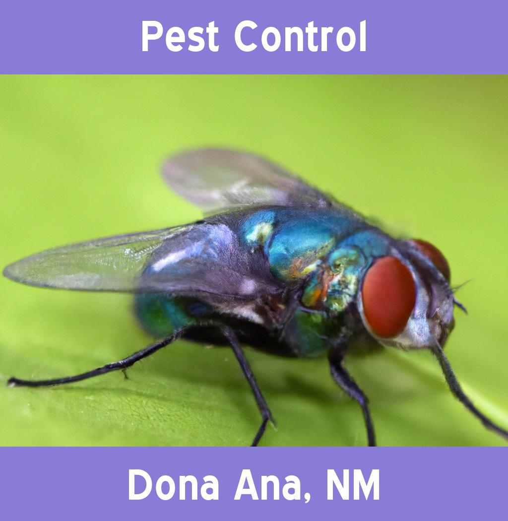 pest control in Dona Ana New Mexico