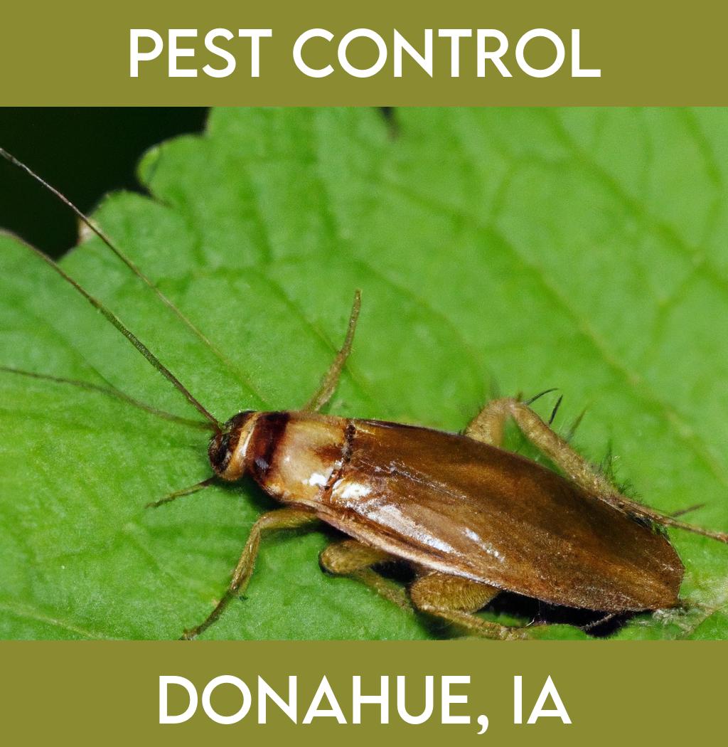 pest control in Donahue Iowa