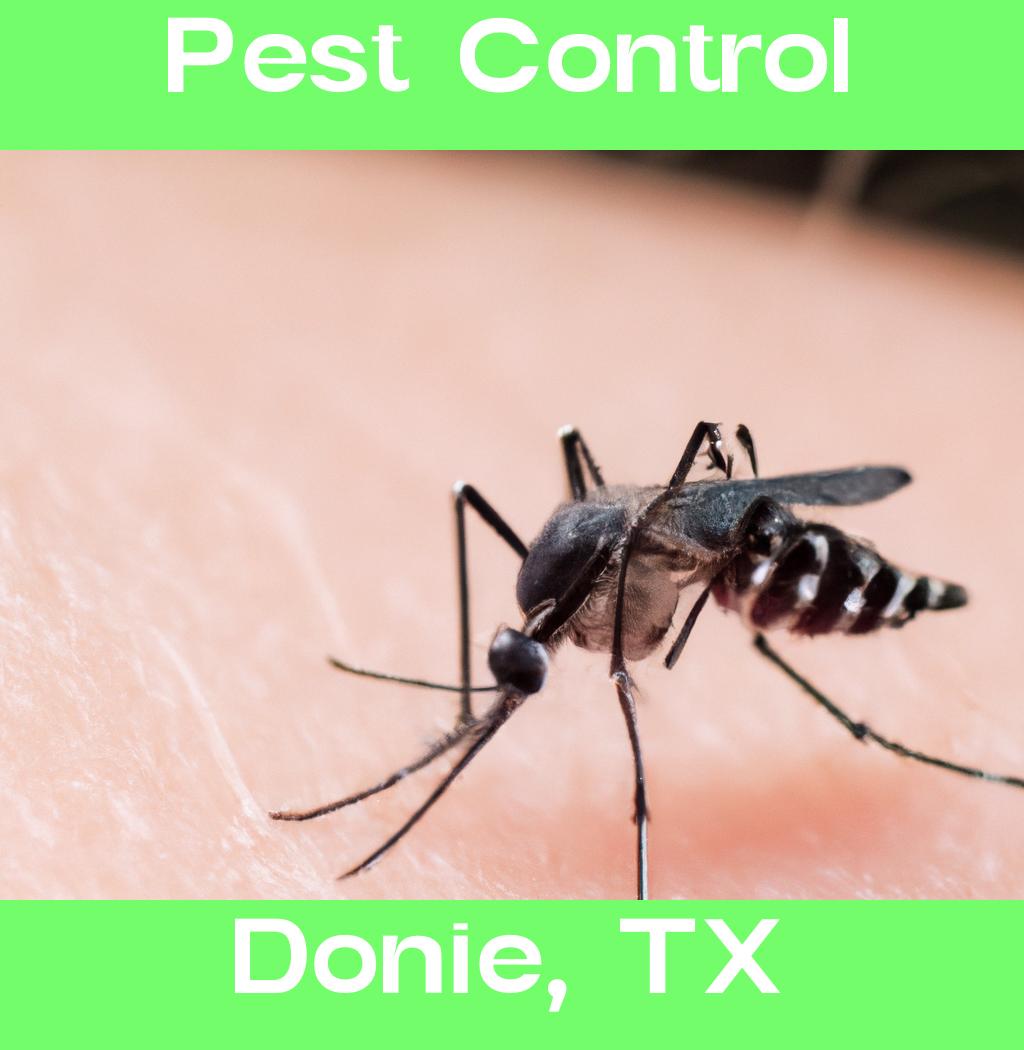 pest control in Donie Texas